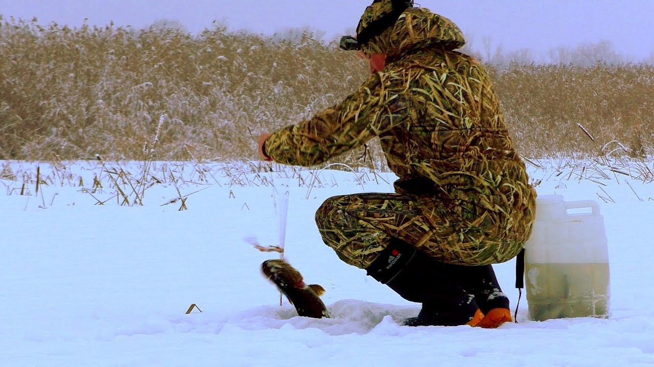 ТАКОГО КЛЕВА НЕ БЫЛО ДАЖЕ ПО ПЕРВОМУ ЛЬДУ!!! РЫБАЛКА НА ЖЕРЛИЦЫ 2020!!! MAX HUNTER смотреть онлайн