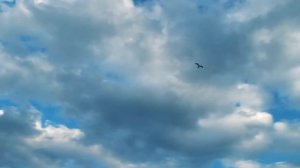 BOXER ВИДЕО-КЛИП Волгодонск 61 регион