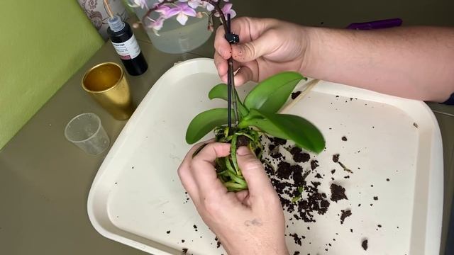 Рисование Мультяшных Персонажей