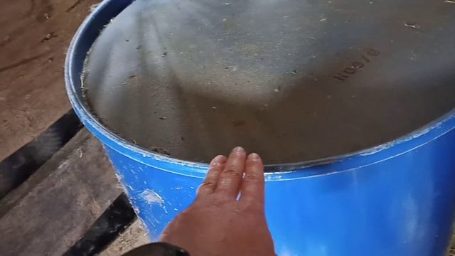 Как хранить зерновые (пшеницу, рожь, овес и др) смотреть онлайн