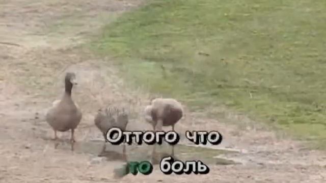 Пять причин Николаев смотреть онлайн