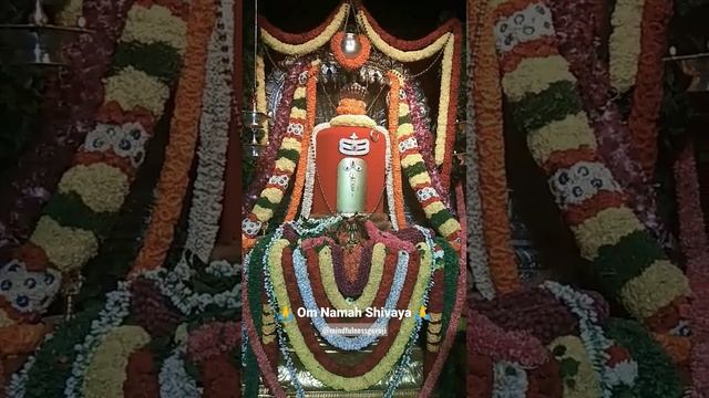 Om Namah Shivaya Mantra ? #shorts #mindfulnessguruji #mahadev #shivtandav #viral смотреть онлайн