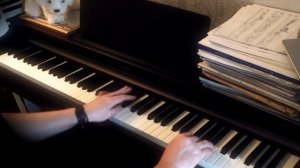 Королек - птичка певчая (фортепиано) "Çalıkuşu"