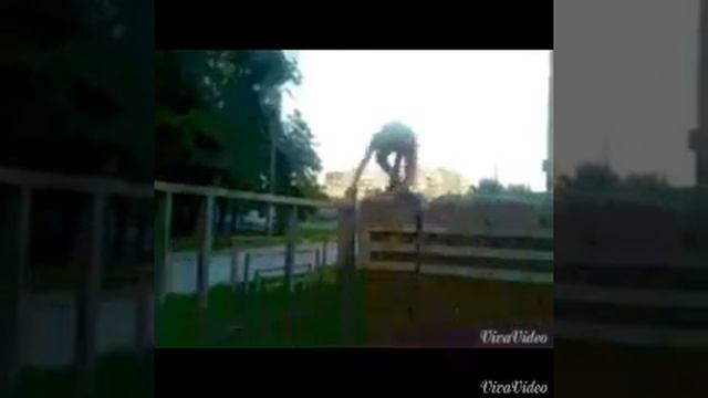 Паркур 11-ти летних детей часть 2 смотреть онлайн