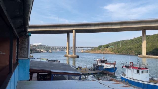 Buffalo river view South Africa// protea world 🗺 смотреть онлайн