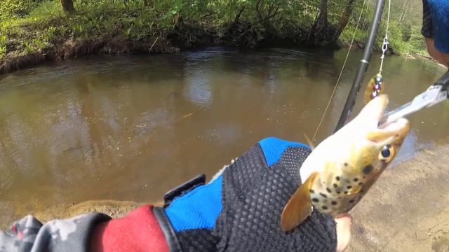 Пеструшка на вертушки от Miari смотреть онлайн