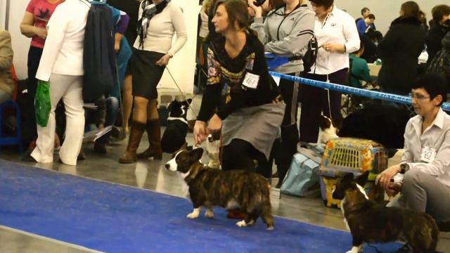 ЕВРАЗИЯ 2015 МОСКВА