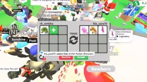 ТРЕЙДЫ НА ФЛАЙ РАЙД ЧЕРЕПАХУ. Что дают за фр черепаху в адопт ми? Adopt me