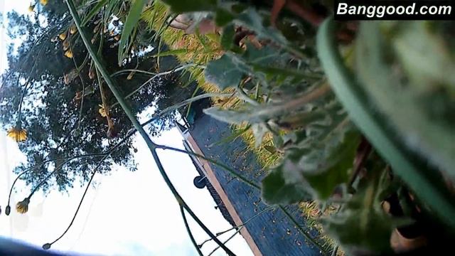 WLToys 12428 from Banggood_2 смотреть онлайн