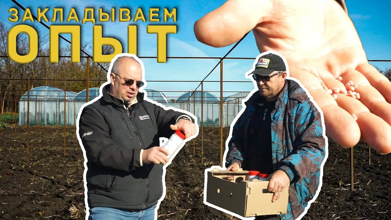 Закладываем опыт биопрепаратов на малине