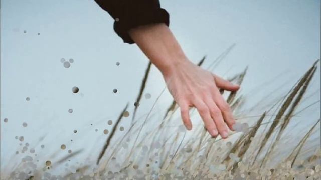Мельникова Оксана. Все важные фразы должны быть тихими... Стихи смотреть онлайн