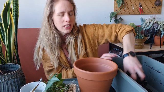 Stekjes Oppotten Met Tips En Tricks En Leuk Nieuws! 🌿