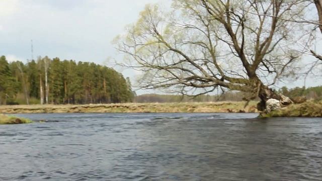 TAG: Мой первый раз. Мой первый сплав. Река Судогда. Владимирская область. смотреть онлайн