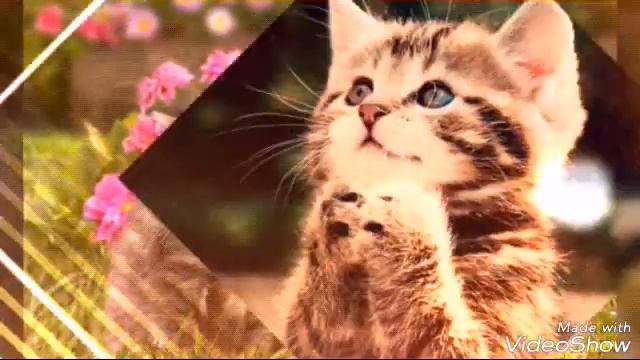 Кого люблю не из не своей семьи смотреть онлайн