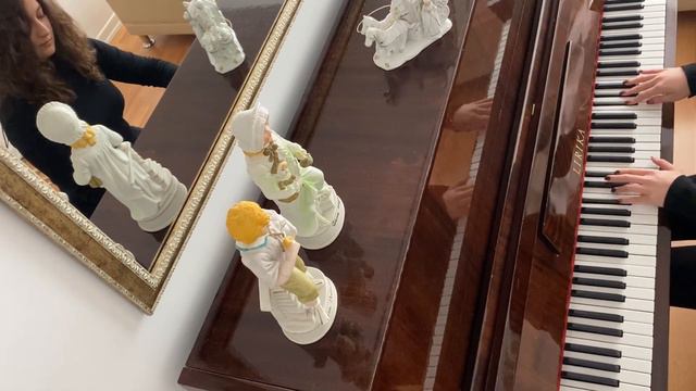 Yann Tiersen - Le Moulin (Amelie) piano cover by Selin Gençay смотреть онлайн