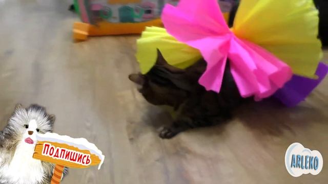 Откуда появился подарок ? Дед Мороз на Новый Год подарил большой домик для девочки Ариши смотреть онлайн