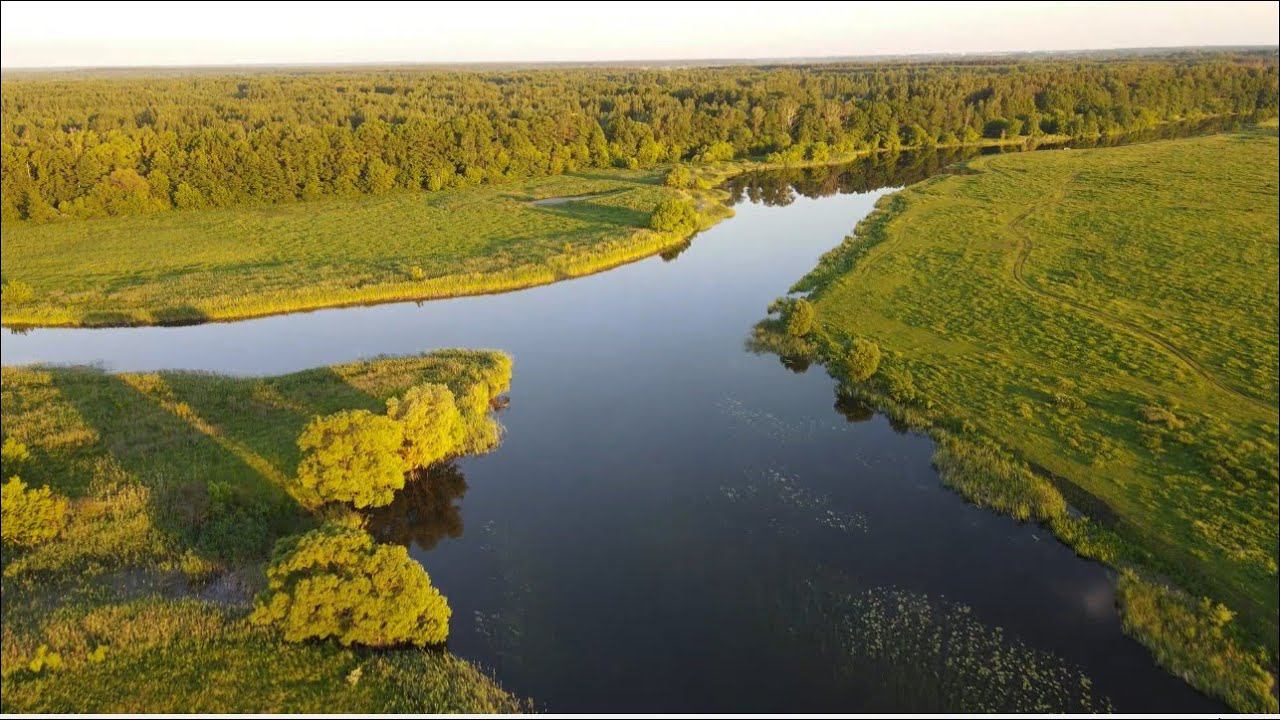 природа с квадрокоптера - уголки Брянской области (свободный полёт и пение птиц) смотреть онлайн