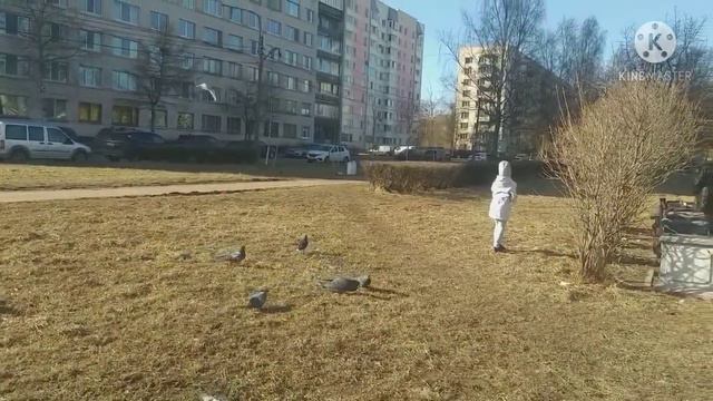 МОМЕНТЫ ОТДЫХА ☀️🕊🚘🍕🍨 смотреть онлайн