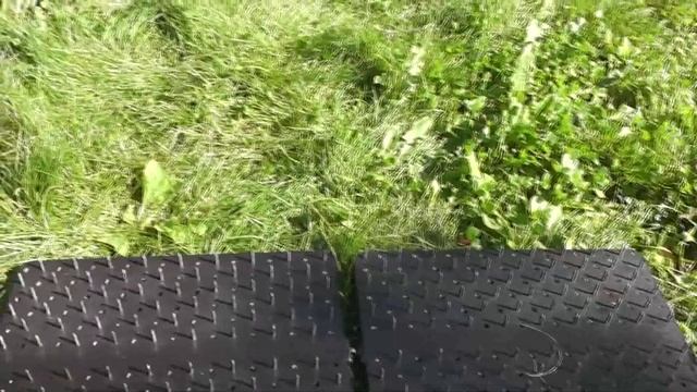 Идеи для праздничного макияжа