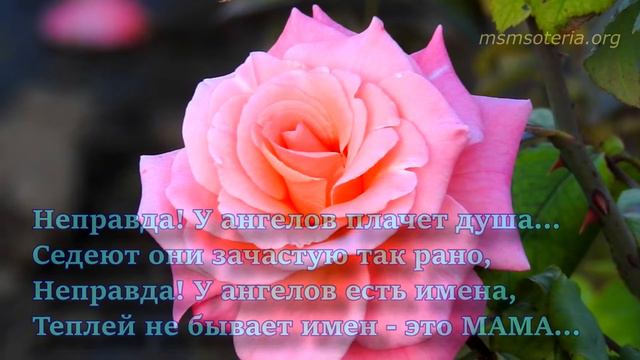 Стихи. Маме 🌹 Сборника стихов. Стихи до слез смотреть онлайн