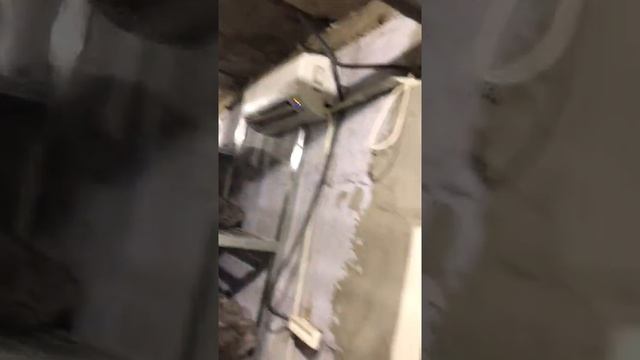 Выращивание шампиньонов | От подписчика смотреть онлайн