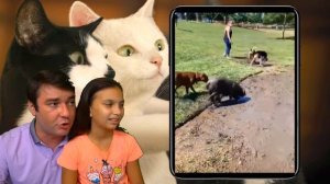 СМЕШНЫЕ КОТЫ и СОБАКИ В ШКОЛЕ после КАРАНТИНА! НЕ УЛЫБНИСЬ и ЗАСМЕЙСЯ ЧЕЛЛЕНДЖ Funny Cats Валеришка