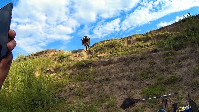 Простая рыбалка | С женой на рыбалке.Вот это клюнуло! РАДИ ТАКОЙ РЫБАЛКИ СТОИЛО ПРИЕЗЖАТЬ!!! смотреть онлайн