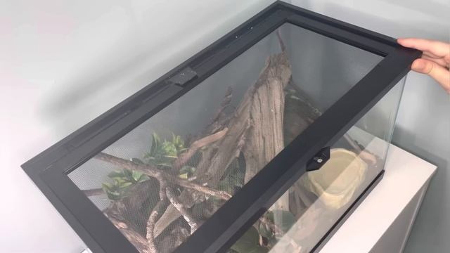 I Received RARE Snakes in the Mail! смотреть онлайн