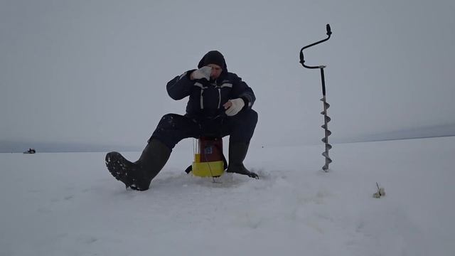 Капризный окунь на блесну. Тестирую новую маропедку смотреть онлайн