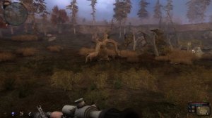 Возвращение в зону ВОСПОМИНАНИЕ последний рывок уничтожить Сердце Зоны как убить всех наемников