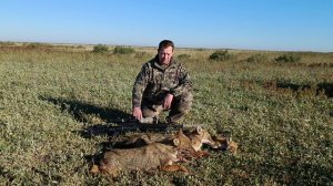 охота на шакала .mp4