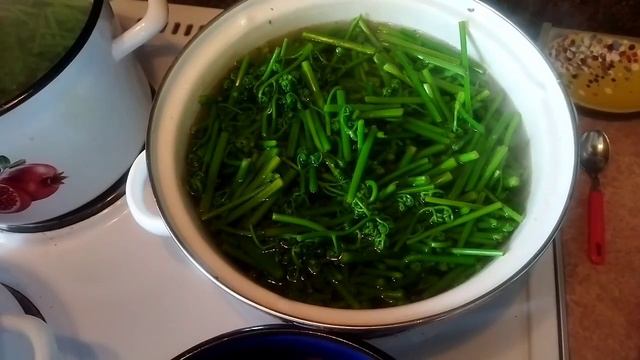 Мастерство и Поддержка