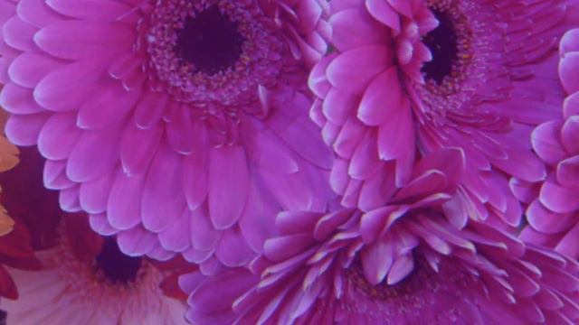 для души. смотреть онлайн