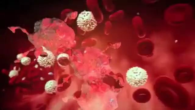 nipah virus lab video смотреть онлайн