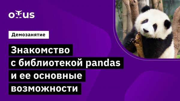 Знакомство с библиотекой pandas и ее основные возможности // занятие курса «Python для аналитики»