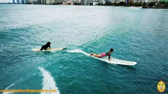 Путешествие по Гавайскому острову Оаху вместе с Hawaii Surfing Academy. смотреть онлайн