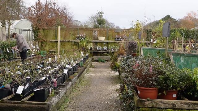 From Thrift To Treasure: DIY Furniture Cleaner & Magical Spring Cottage Garden✨