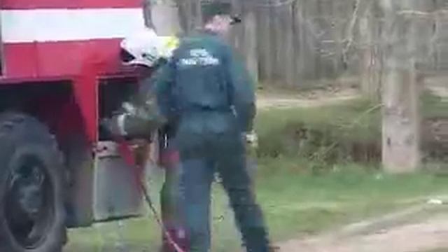 Пожарные отметили праздник показательными выступлениями смотреть онлайн