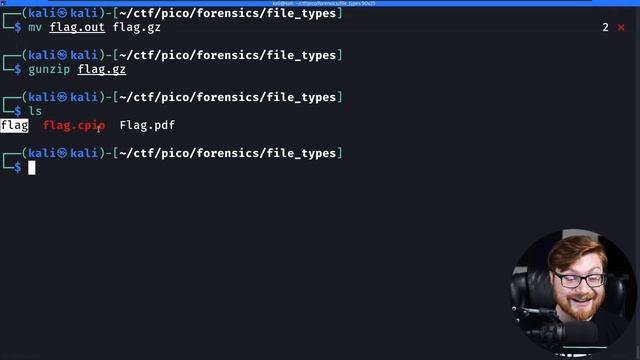 Obscure File Types & Compression (PicoCTF 2022 #10 'file-types') смотреть онлайн