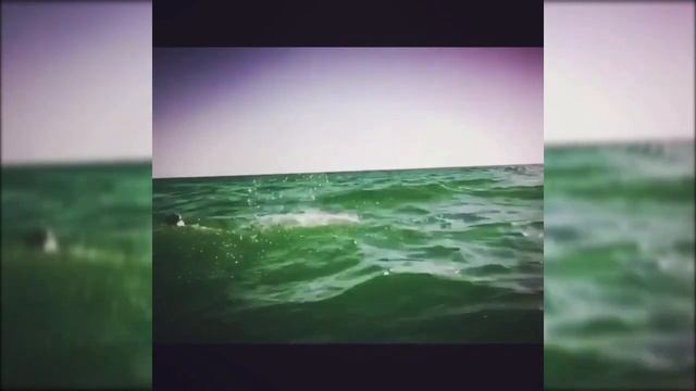 Мария Порошина впервые показала своего нового возлюбленного смотреть онлайн