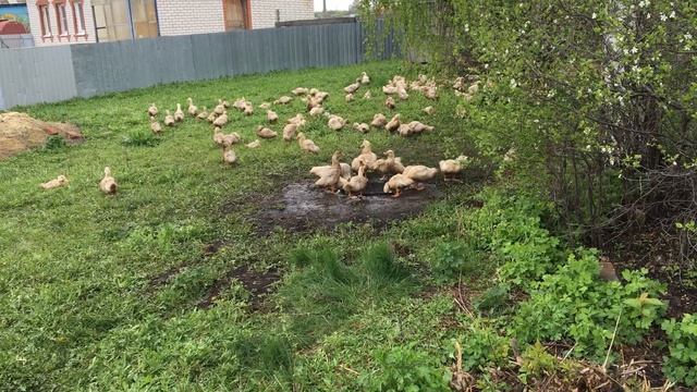 01-05-2023 смотреть онлайн