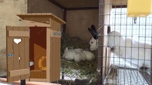 Чтобы самка не гадила в маточник