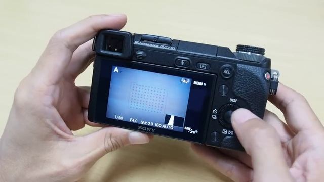 Sony NEX 6 Controls