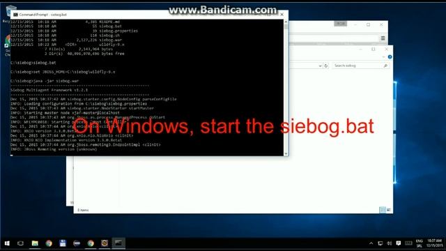 Siebog started from the Command Line смотреть онлайн