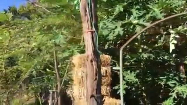 Green house setup смотреть онлайн