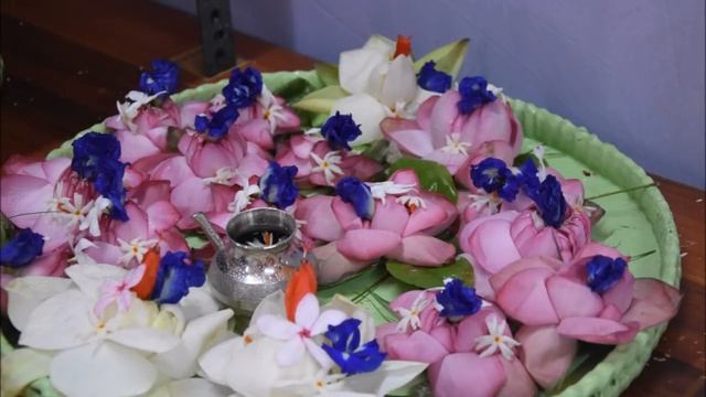Mahishasuramardini Stotra | Durga Puja 2019 смотреть онлайн