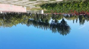 ГУСАРИХИ ещё те девицы!!!??? город Рудный обзор