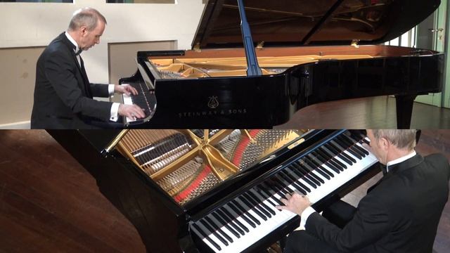 LISZT MEPHISTO WALTZ Thierry Châtelain смотреть онлайн