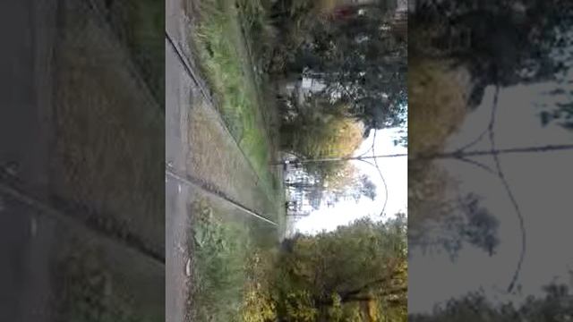 Дохлая крыса!(1)