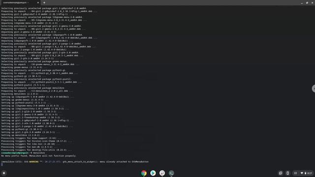 How to install Jetbrains Webstorm 2021 on a Chromebook смотреть онлайн
